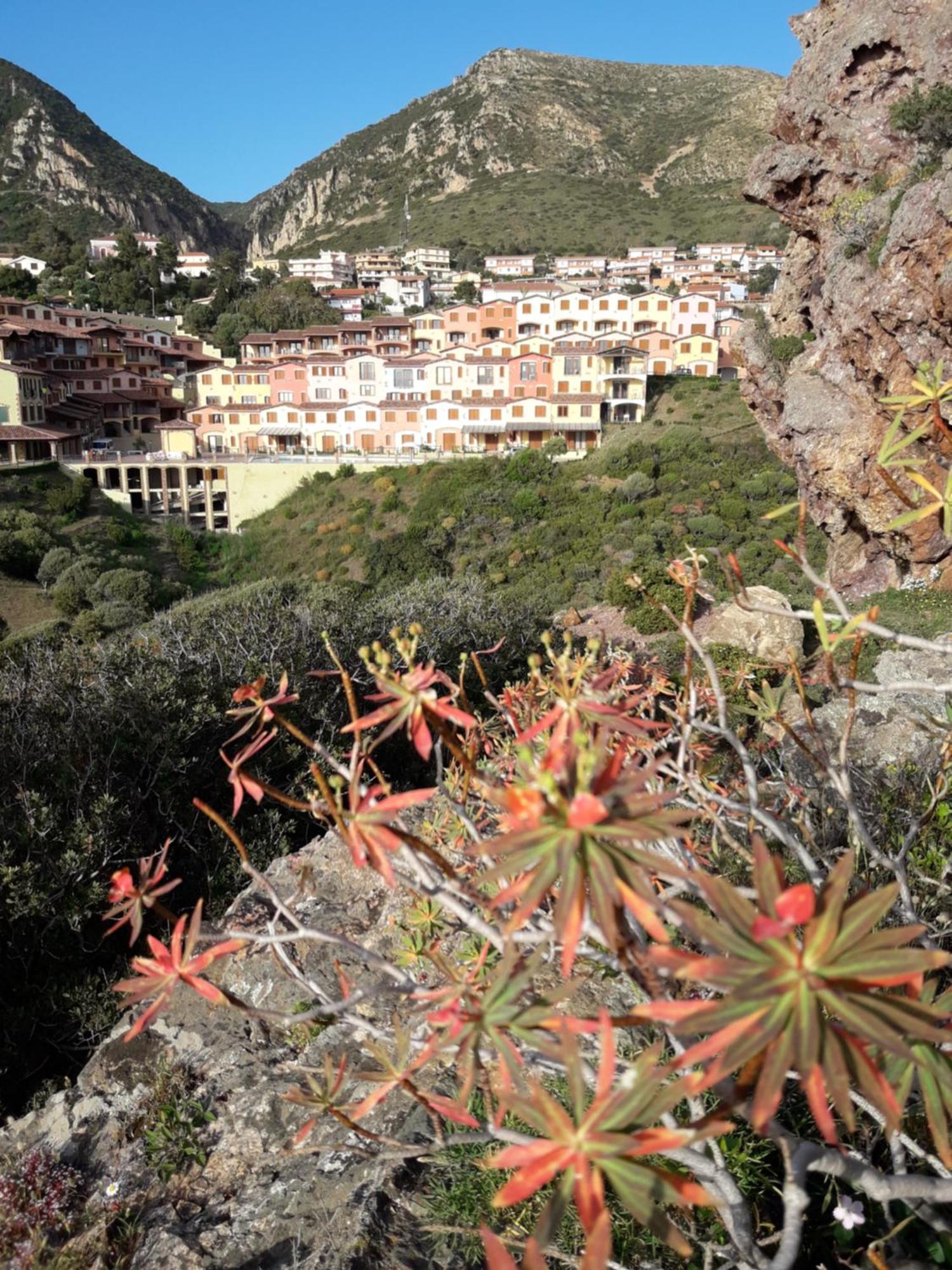 Villa Olga Nebida Dış mekan fotoğraf
